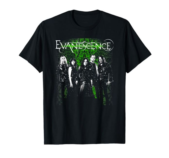 The Art of Evanescence: Exploring Official Merchandise and Beyond